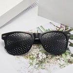 Pin Hole Glasses Eyesight Training Eyewear Plus Pro XL