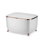 Beauty Refrigerator Low Noise Smart Skincare Fridge Mini