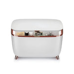 Beauty Refrigerator Low Noise Smart Skincare Fridge Mini