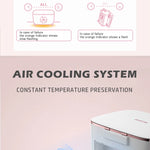 Beauty Refrigerator Low Noise Smart Skincare Fridge Mini
